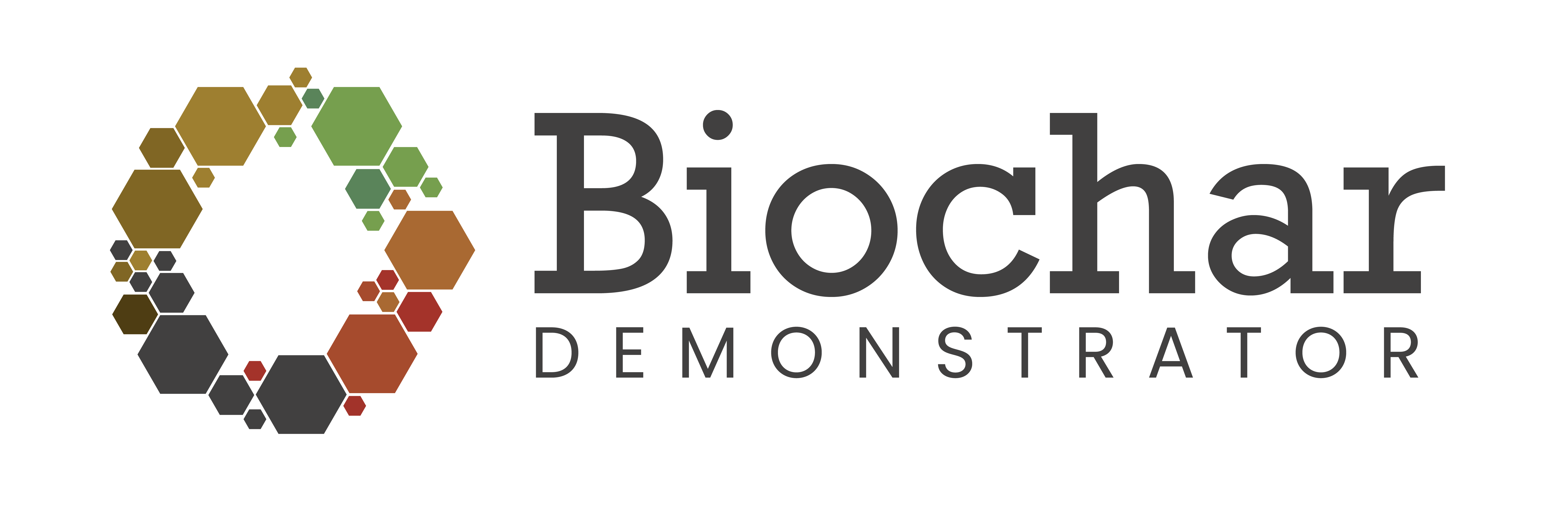 Biochar project logo
