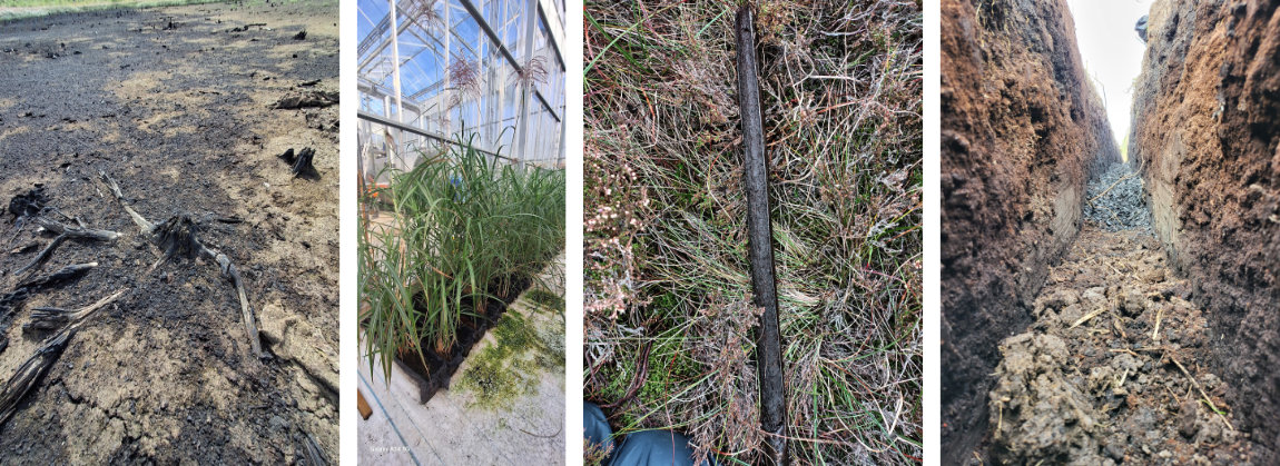 Flexible Fund Award Projects