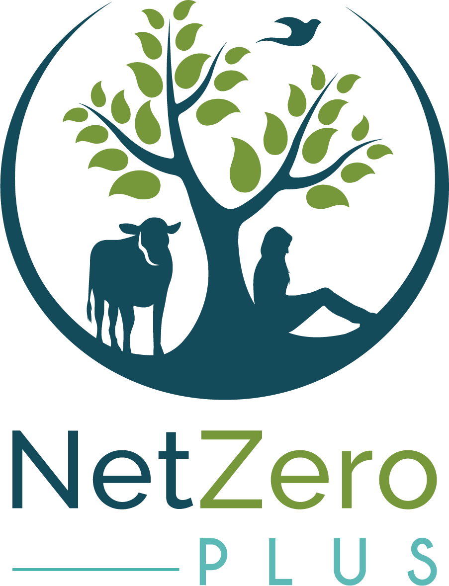 Net zero plus project logo