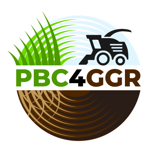 Biomass project logo