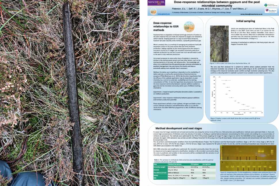 The Peat Microbial Flex Fun Project
