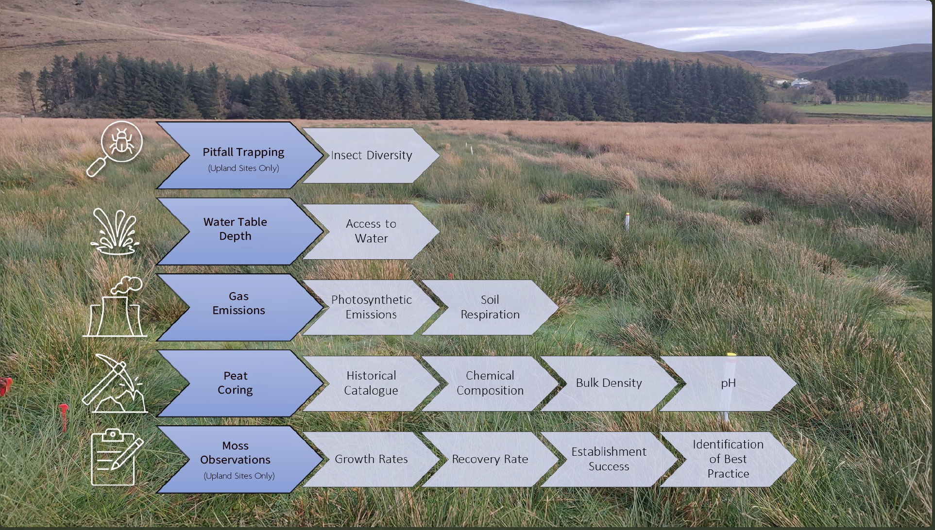 Site Monitoring at the GGR-Peat Field Sites