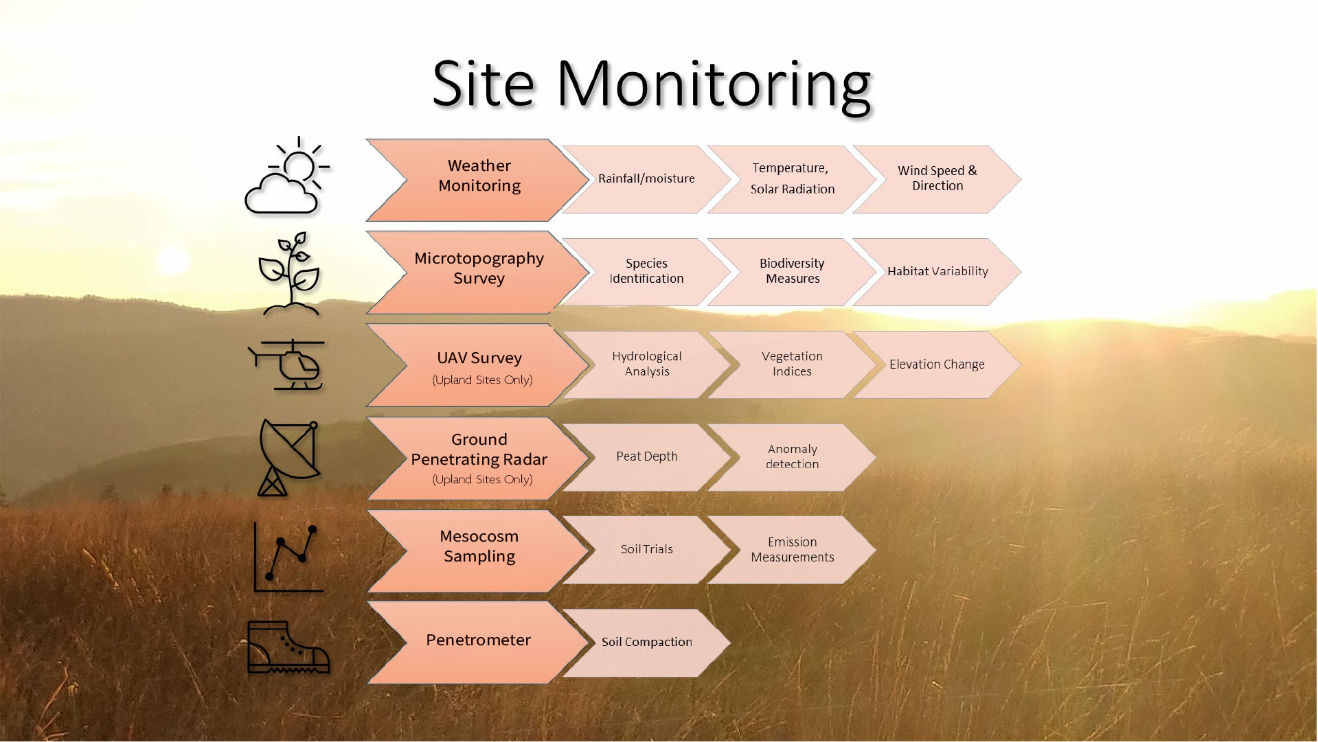 Site Monitoring at the GGR-Peat Field Sites